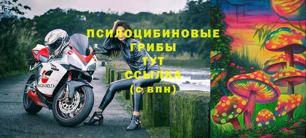 твердый Сосновка